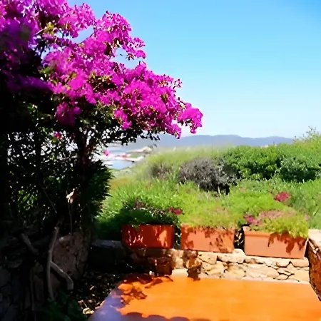Apartment Punta Lepre Vista Mare *